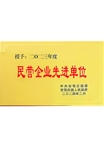 民营企业先进单位